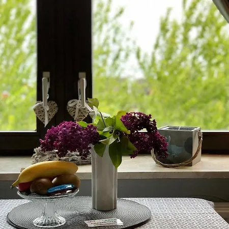 Appartement Friedrichsen List