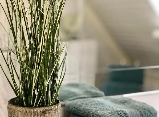 Friedrichsen Appartamento