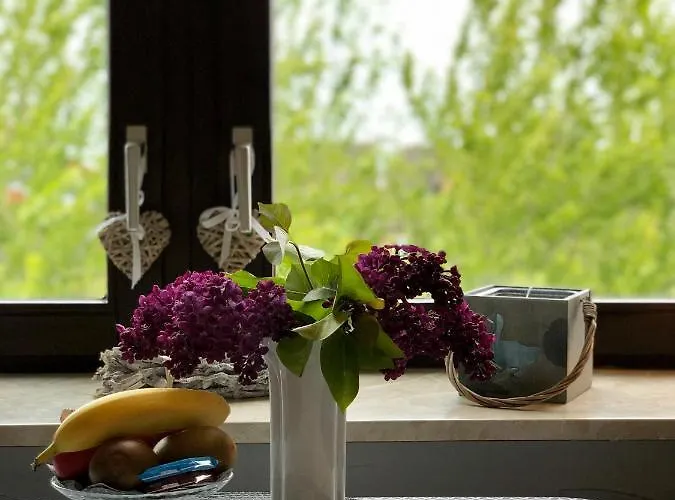 Appartamento Friedrichsen List